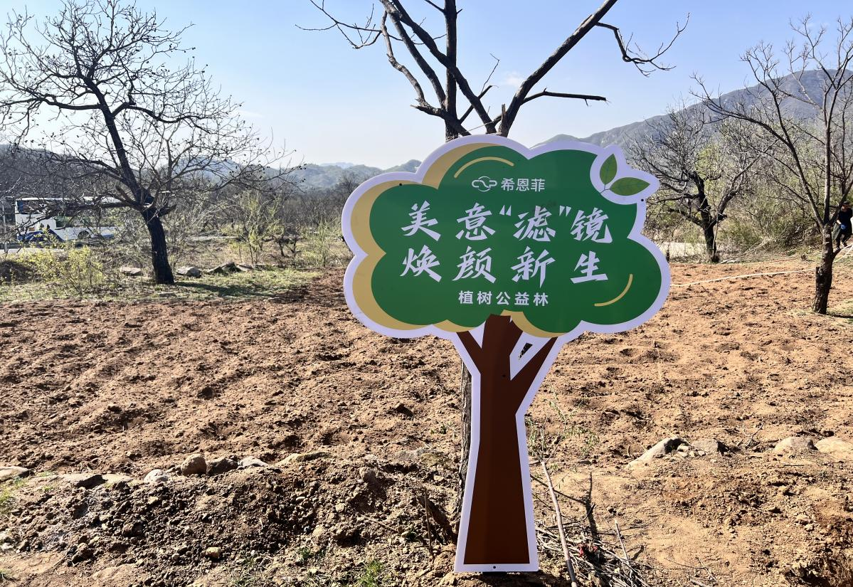 图片 23.png